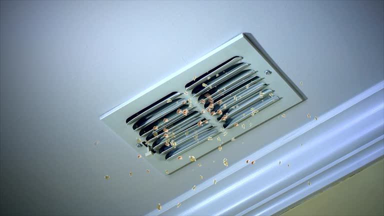Ventilation Cleaning Services in Columbus, MT