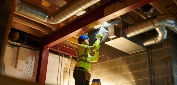 Best Air Duct Mold Removal  in Columbus, MT