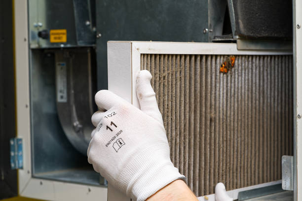 Best Home Air Vent Cleaning  in Columbus, MT