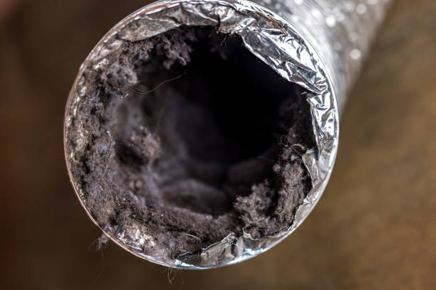 Best Best Air Duct Cleaning Company  in Columbus, MT